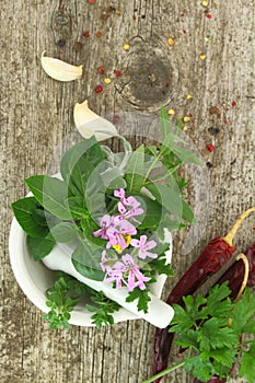 Mortar and pestle with fresh herbs on old wooden background