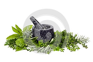 Mortar and Pestle with Fresh Herbs over White