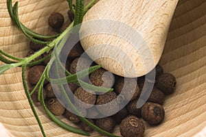 Mortar and pestle, with fresh-picked herbs