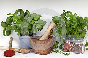 Mortar and pestle with fresh plants, herbs and spices