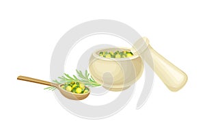 Mortar and Pestle with Fresh Wormwood or Southernwood Plant Vector Composition