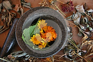 Mortar and Pestle, Herbalism, Naturopathy, Flowers Healing Herbs, Dried Flowers, Medicinal, Autumn, October, Still Life, Floral