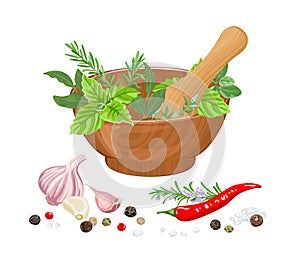 Mortar and pestle, herbs and spices isolated on white background. Vector illustration