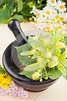 Mortar and pestle with linden flowers, chamomille and milfoil photo