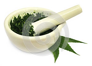 Mortar and pestle with medicinal neem leaves