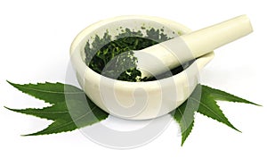 Mortar and pestle with medicinal neem leaves photo