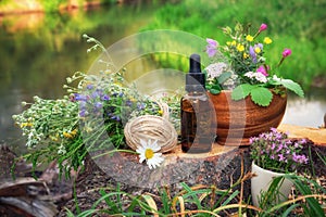 Mortars of medicinal herbs, dropper bottle of essential oil, bunch of medicinal plants on a wooden stump. photo