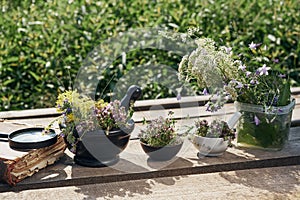 Mortars of thyme medicinal herbs, old book and loupe, bunch of healing plants on a wooden board outdoors.