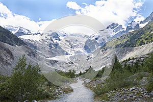 View of Morteratsch Glacier trail
