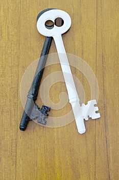 Mortice lock style keys