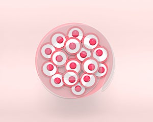 Morula. The Embryo cell of 16 blastomeres