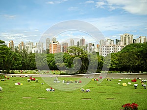 Morumbi Cemetery