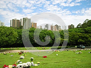 Morumbi Cemetery
