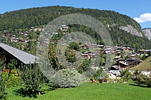 Morzine and Petetoz forest in Haute-Savoie