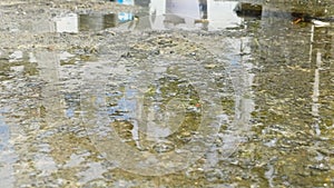 MOS WITH WATER REFLECTION AND WET FLOOR ON ROOFTOP