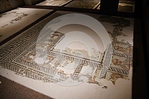 Mosaic in Antalya Archeological Museum, Antalya, Turkiye