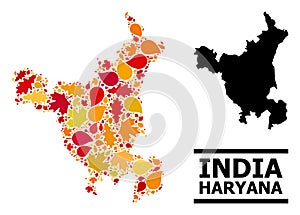 Autumn Leaves - Mosaic Map of Haryana State photo