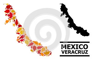 Autumn Leaves - Mosaic Map of Veracruz State photo