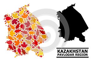 Autumn Leaves - Mosaic Map of Pavlodar Region photo
