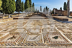Mosaic with birds at the Roman ruins of Italica, Santiponce, Sevilla, Spain photo