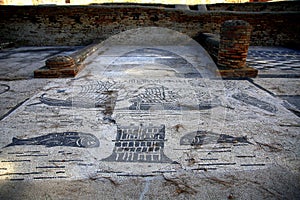 Mosaic depicting fish and ships in the sea, Piazza delle gilde or guilds, Ostia Antica photo