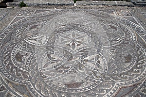 Mosaic depicting flowers among roman ruins