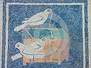 Mosaic detail from Pompeii photo