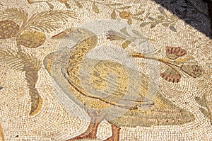 Mosaic of duck in outdoor paving, Carthage, Tunisia