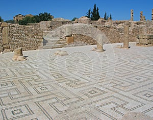 Mosaic floor of the palaestra in Sufetula photo