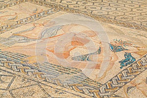 Mosaic floor at the ruins of Volubilis, ancient Roman city in Morocco