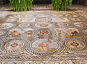 The mosaic floor photo