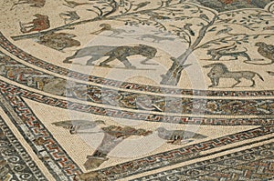 Mosaic Flooring, Volubilis Ancient Berber and Roman City, near Meknes, Morocco