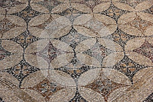 Mosaic Floors