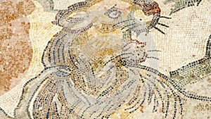 Mosaic fragment Roman Villa Romana del Casale, Sicily, UNESCO World Heritage Site