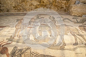 Mosaic fragment Roman Villa Romana del Casale, Sicily