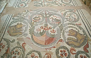 Mosaic fragment Roman Villa Romana del Casale, Sicily