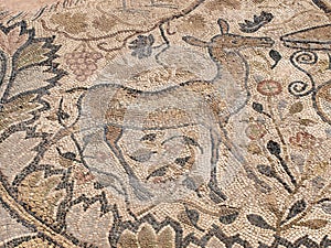 Mosaic, Heraclea Lyncestis, Macedonia