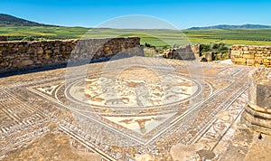 Mosaic in House of Orpheus in ruins ancient city Volubilis ,Morocco photo