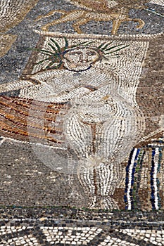 Mosaic in House of the Procession of Venus