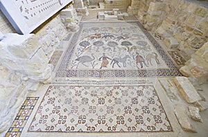 Mosaic, Mount Nebo, Jordan