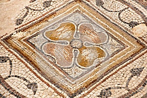Mosaic in national park Zippori (Tsipori). Israel