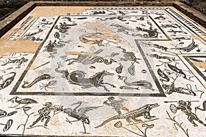 Mosaic of Neptune in House of Neptune, Italica, Spain.