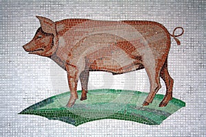Mosaic Pig