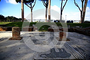 Mosaic with representation of animals among the trunks of the pines and the green of the lawn, Piazza delle gilde or corporazioni, photo