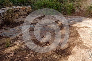 Mosaic on the stones it in the Totem park in the forest near the villages of Har Adar and Abu Ghosh