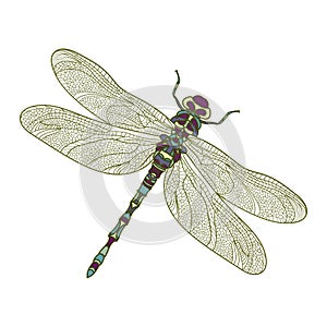 Mosaic stylized dragonfly.