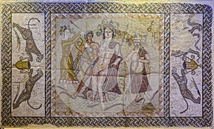 Mosaic of the Triclinium. Complutum Alcala de Henares photo