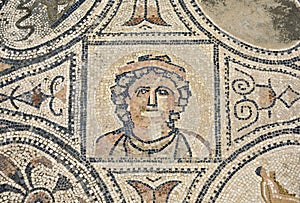 Mosaic from Volubilis