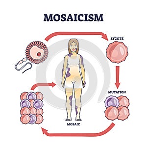 Mosaicism as medical genetic condition with cellular defect outline diagram