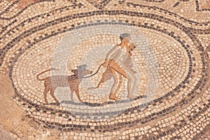 Mosaics at the ancient city of Volubilis in Morocco under the sunlight